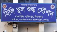 হিলি স্থলবন্দর দিয়ে আমদানি-রফতানি শুরু