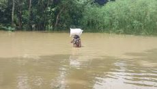 বন্যায় মৃতের সংখ্যা বেড়ে ৩১, ক্ষতিগ্রস্ত প্রায় ৫৮ লাখ মানুষ