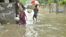 লক্ষ্মীপুরে টানা ভারী বর্ষণে জলাবদ্ধতা, দুর্ভোগে মানুষ