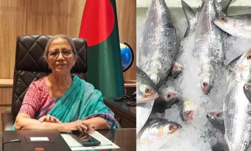 ভারতে ইলিশ পাঠাতে পারব না আমরাও দুর্গোৎসব করি মৎস্য উপদেষ্টা