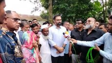 গণ-অভ্যুত্থানে শহীদদের রক্তের বিনিময়ে বাংলাদেশ নতুনভাবে স্বাধীন হয়েছে: আমিনুল হক