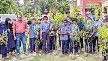 শরণখোলায় চারা বিতরণ
