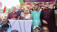 আ.লীগ সরকার নির্বিচারে মানুষ হত্যা করেছেন: সেলিমা রহমান