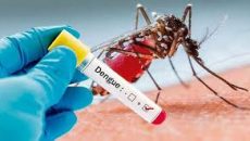 ডেঙ্গুতে গত একদিনে ৫ জনের মৃত্যু, হাসপাতালে ১১৫২