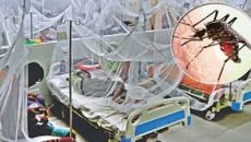 গত ২৪ ঘন্টায় ডেঙ্গুতে ৬ জনের মৃত্যু, রেকর্ড রোগী ভর্তি