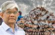 বৃহত্তর স্বার্থে ভারতে ইলিশ রফতানির সিদ্ধান্ত: বাণিজ্য উপদেষ্টা