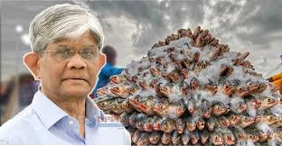 বৃহত্তর স্বার্থে ভারতে ইলিশ রফতানির সিদ্ধান্ত: বাণিজ্য উপদেষ্টা