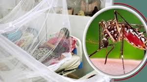 গত ২৪ ঘণ্টায় ডেঙ্গুতে আরও ৩ জনের প্রাণহানি