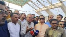 অনেক সচিব এখনও নাশকতা করার চেষ্টা করছে: রিজভী