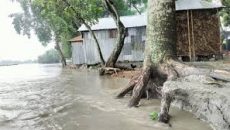 রংপুর বিভাগে বন্যার শঙ্কা