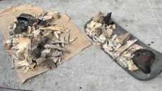 পুড়ে যাওয়া গাজী টায়ার কারখানায় পাওয়া গেলো মাথার খুলি-হাড়