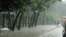 বৃষ্টি ও তাপমাত্রা নিয়ে যে বার্তা দিলো আবহাওয়া অফিস