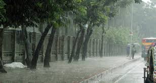 বৃষ্টি ও তাপমাত্রা নিয়ে যে বার্তা দিলো আবহাওয়া অফিস