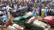 নাইজেরিয়ায় সন্ত্রাসী হামলা, নিহত ৮১