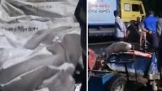 গাজীপুরে কাভার্ডভ্যান-সিএনজির ধাক্কায় শিশুসহ নিহত ৫