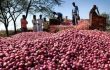 পেঁয়াজ রফতানির শর্ত শিথিল করার সিদ্ধান্ত ভারতের