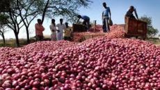 পেঁয়াজ রফতানির শর্ত শিথিল করার সিদ্ধান্ত ভারতের