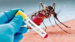 ডেঙ্গুতে ১ সপ্তাহে ১৯ মৃত্যু, হাসপাতালে ভর্তি ৫৪৪০ জন