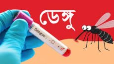 ডেঙ্গুতে একদিনে সর্বোচ্চ ৭ মৃত্যু, হাসপাতালে ভর্তি ৮৬০