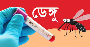 ডেঙ্গুতে একদিনে সর্বোচ্চ ৭ মৃত্যু, হাসপাতালে ভর্তি ৮৬০