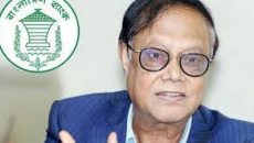 ছয় মাসের মধ্যে সরকারি এলসির দায় পরিশোধ সম্ভব: গভর্নর