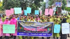 চাঁদপুরে নার্সিং ও মিডওয়াইফারি সংস্কার পরিষদের কালো পতাকা মিছিল