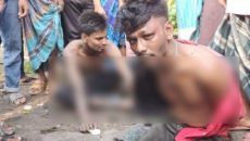 বরিশালের ডাসারে দুইজন ডাকাত সদস্য গ্রেপ্তার