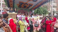 শেখ হাসিনা সরকার গত ১৭ বছরে মানুষের ভোটে নির্বাচিত ছিল না: আমিনুল হক