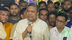 আমরা বহুদলীয় গণতন্ত্রের স্বপ্ন দেখি: অধ্যাপক রফিকুল ইসলাম 