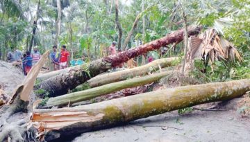 ঘূর্ণিঝড় দানার আঘাতে ২০টি ঘর বিধ্বস্ত: ব্যাপক ক্ষয়ক্ষতি