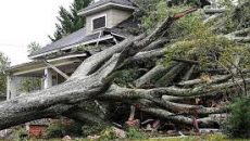 হারিকেন হেলেনের তাণ্ডবে নিহত অন্তত ৯০