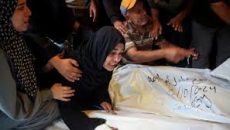 গাজায় আরও ৫০ জনের বেশী ফিলিস্তিনি নিহত