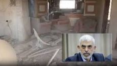 মাথায় গুলি করে হত্যা করা হয় সিনওয়ারকে, কেটে নেওয়া হয় আঙুল