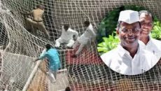 সচিবালয়ের ৩ তলা থেকে লাফ দিলেন স্পিকারসহ ৩ এমপি