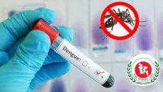 ডেঙ্গুতে গত একদিনে আরও ৪ জনের মৃত্যু, হাসপাতালে ভর্তি ১১২১