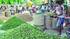 সিন্ডিকেট ভাঙতে আসছে নতুন বিপণন কৌশল, স্বস্তি ফিরবে বাজারে!