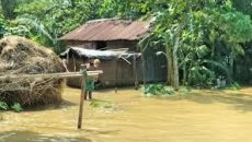 ময়মনসিংহে বন্যায় তিন উপজেলায় পানিবন্দি ৩৩ হাজার পরিবার