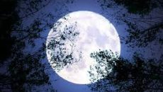 লকডাউনে নেমেছিল চাঁদের ‘জ্বর’