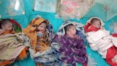 বগুড়ায় একসঙ্গে চার কন্যা সন্তানের জন্ম