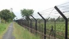 কোম্পানীগঞ্জ সীমান্তে ইলিশসহ ভারতীয় নাগরিক আটক