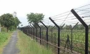 কোম্পানীগঞ্জ সীমান্তে ইলিশসহ ভারতীয় নাগরিক আটক
