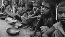 বৈশ্বিক ক্ষুধা সূচকে ৩ ধাপ পেছাল বাংলাদেশ
