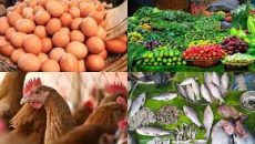ডিম-সবজির দাম কমলেও বেড়েছে তেল-মাছ-মুরগির