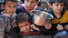 ইসরায়েলের অবরোধে এবার গাজায় খাদ্য আমদানি বন্ধ