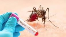 গত ২৪ ঘণ্টায় ডেঙ্গুতে মৃত্যু ৩ জন, হাসপাতালে ১১৪৪