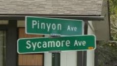 যুক্তরাষ্ট্রের কলোরাডোয় ফ্রিজে মিলল ২০ বছর আগে নিখোঁজ কিশোরীর লাশ