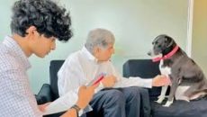 রতন টাটার উইলে পোষা কুকুর ‘টিটো’র নাম, আরও যারা পেল সম্পত্তি