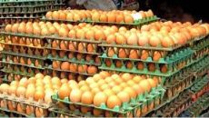 ঢাকার ২ বাজারে রাতেই ২০ লাখ ডিম বিক্রি করবেন উৎপাদকেরা