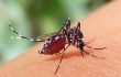 ডেঙ্গুতে গত ২৪ ঘণ্টায় আরও ৪ জনের মৃত্যু