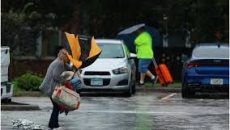 দুর্বল হয়েছে হারিকেন মিলটন, বিদ্যুৎহীন ৩০ লাখের বেশি